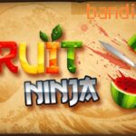 fruit-ninja-mod