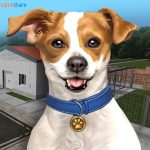 animal-shelter-simulator-mod-apk