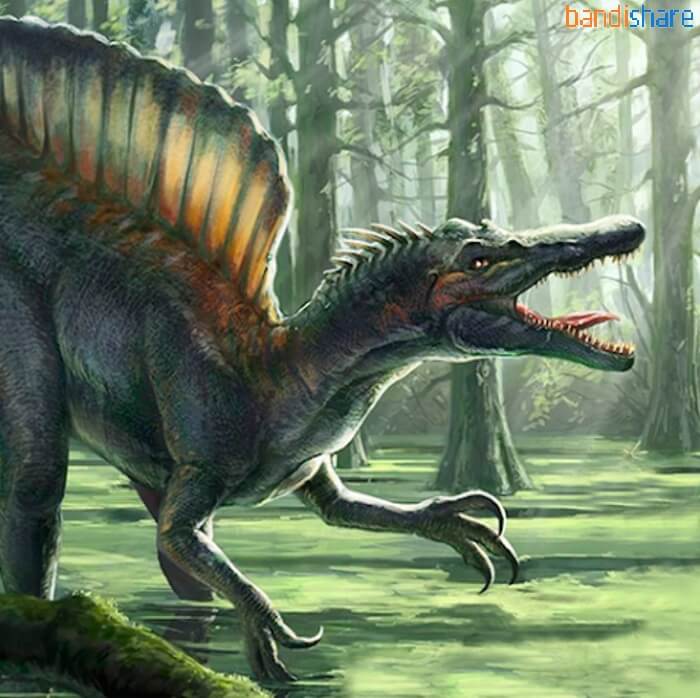 Tải Spinosaurus Simulator MOD (Menu, Vô Hạn Tiền, Kỹ Năng) 1.1.8 APK