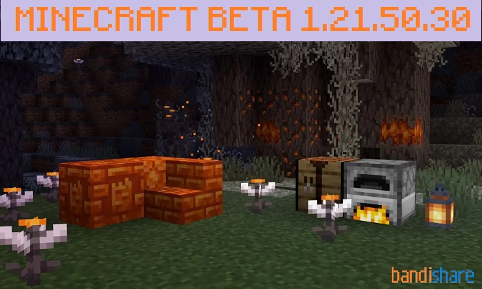 Tải Minecraft BETA 1.21.50.30 APK có Tiếng Việt Cho Android