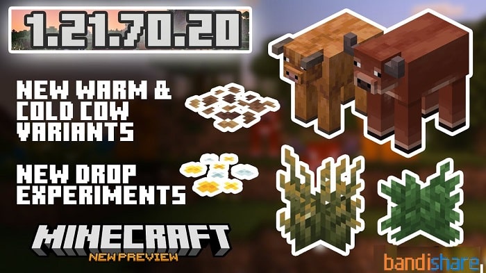 Tải Minecraft BETA 1.21.70.20 APK Tiếng Việt cho Android