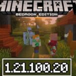 minecraft-1-21-100-20