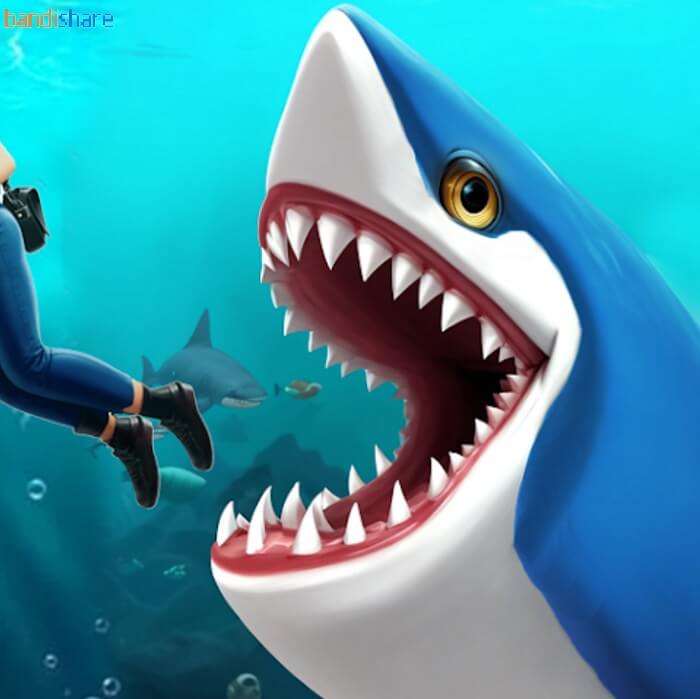Tải Angry Shark Sim – Shark Game MOD (Vô Hạn Tiền) 4.5 APK
