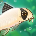 pondlife-mod-apk