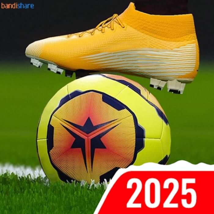 Tải Soccer Dynasty: Club Manager MOD (Mua Sắm) 1.0.17 APK