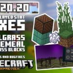 minecraft-26-20-20