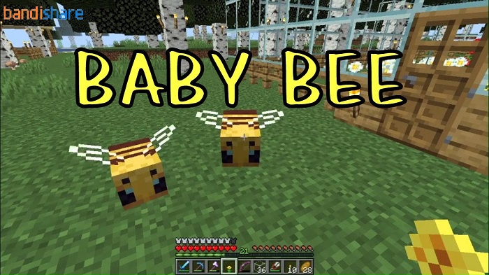 minecraft-26-20-21-apk-beta