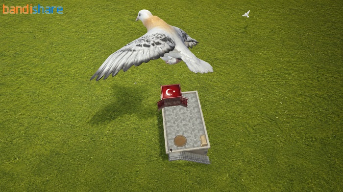 pigeon-paradise-apk-mod